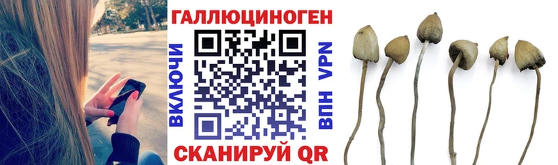 darknet Telegram  Баймак  Галлюциногенные грибы Magic Shrooms 
